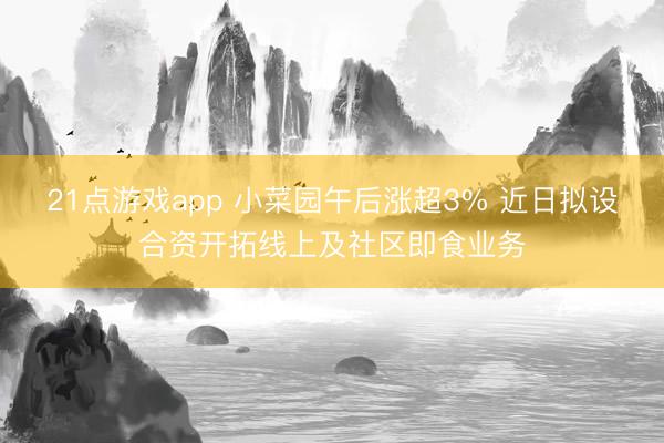 21点游戏app 小菜园午后涨超3% 近日拟设合资开拓线上及社区即食业务