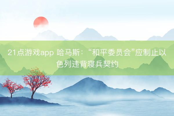 21点游戏app 哈马斯:“和平委员会”应制止以色列违背寝兵契约
