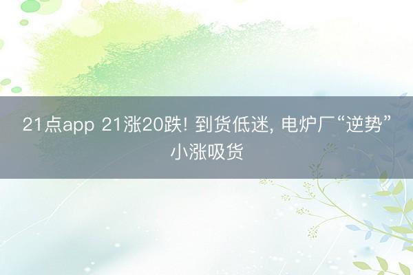 21点app 21涨20跌! 到货低迷, 电炉厂“逆势”小涨吸货