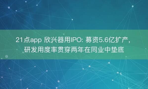 21点app 欣兴器用IPO: 募资5.6亿扩产， 研发用度率贯穿两年在同业中垫底