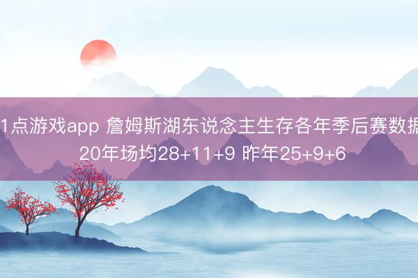 21点游戏app 詹姆斯湖东说念主生存各年季后赛数据: 20年场均28+11+9 昨年25+9+6
