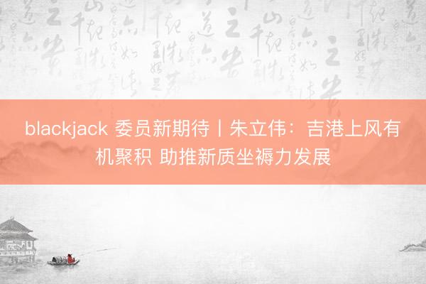 blackjack 委员新期待丨朱立伟：吉港上风有机聚积 助推新质坐褥力发展