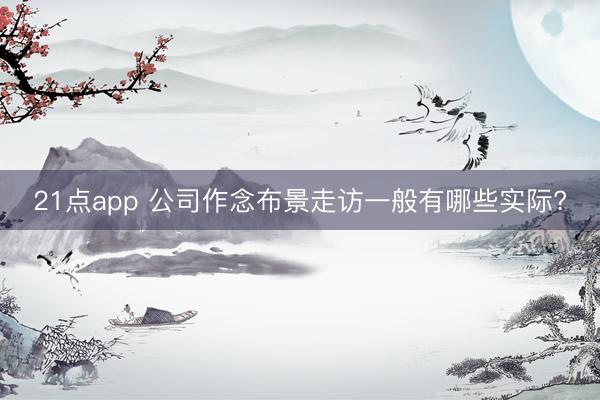 21点app 公司作念布景走访一般有哪些实际?