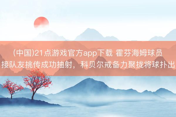 (中国)21点游戏官方app下载 霍芬海姆球员接队友挑传成功抽射，科贝尔戒备力聚拢将球扑出