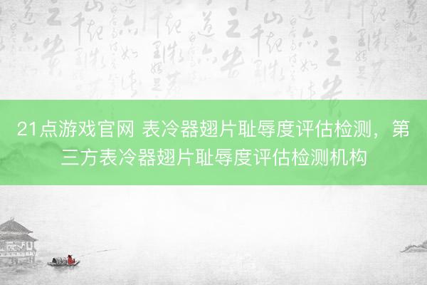 21点游戏官网 表冷器翅片耻辱度评估检测，第三方表冷器翅片耻辱度评估检测机构