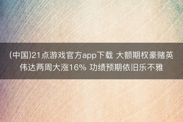 (中国)21点游戏官方app下载 大额期权豪赌英伟达两周大涨16% 功绩预期依旧乐不雅