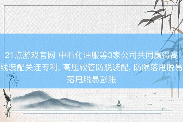 21点游戏官网 中石化油服等3家公司共同赢得高压管线装配关连专利, 高压软管防脱装配, 防陨落甩脱易彭胀