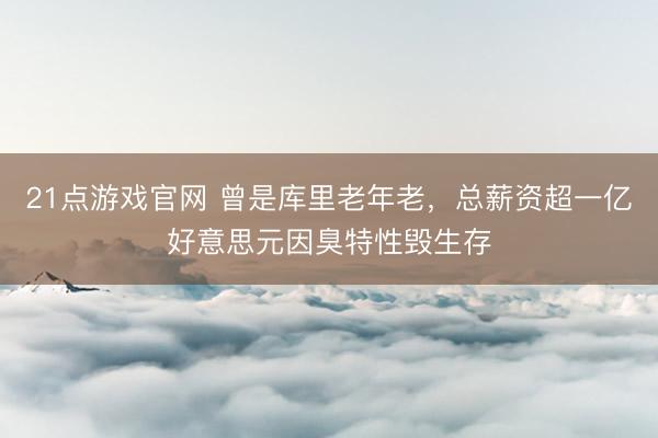 21点游戏官网 曾是库里老年老，总薪资超一亿好意思元因臭特性毁生存