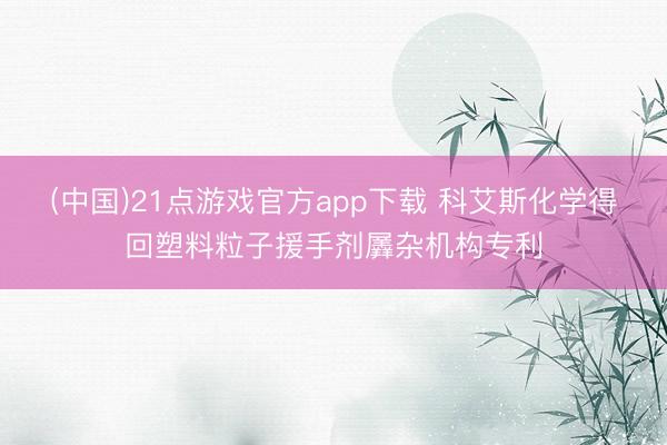 (中国)21点游戏官方app下载 科艾斯化学得回塑料粒子援手剂羼杂机构专利